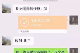 阳谷阳谷的要账公司在催收过程中的策略和技巧有哪些？